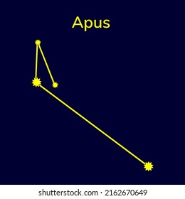 Constellation Apus on a blue background