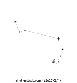 Constellation Apus scheme in starry sky. Doodle, sketch, linear icons of all 88 constellations on white background