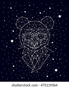 constellation , bear with glasses , portrait , panda, vector graphics