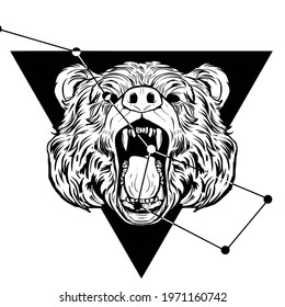 The constellation bear in the triangle. Bear head. vector illustration