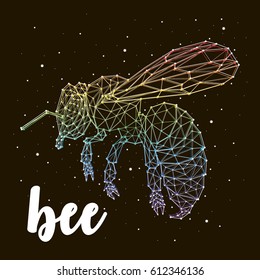 constellation bee star vector art