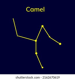 Constellation Camel on a blue background