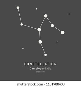 The Constellation Of Camelopardalis. The Giraffe - linear icon. Vector illustration of the concept of astronomy