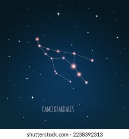 Constellation Camelopardalis scheme in starry sky. Open space. Vector illustration Camelopardalis constellation through a telescope. 