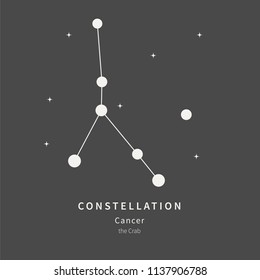 The Constellation Of Cancer. The Crab - linear icon. Vector illustration of the concept of astronomy