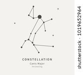 The Constellation Of Canis Major. The Great Dog - linear icon. Vector illustration of the concept of astronomy