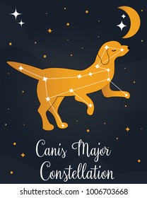 The constellation "Canis Major" star in the night sky with the dog silhouette. Vector illustration