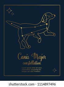 The constellation Canis Major star in the night sky