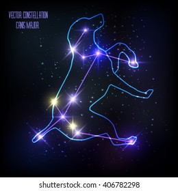 The constellation " Canis Major" star in the night sky. Vector illustration.