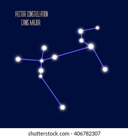 The constellation " Canis Major" star in the night sky. Vector illustration.