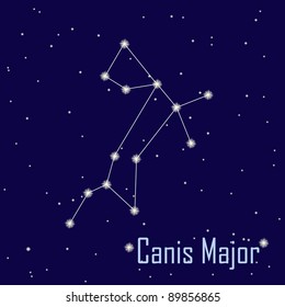 The constellation " Canis Major" star in the night sky. Vector illustration