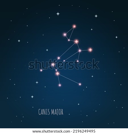 The constellation "Canis Major" star in the night sky. Astronomical Big dog. Cluster of realistic stars. Constellation scheme collection
Vector illustration
