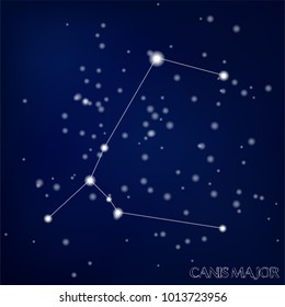 constellation Canis Major in the starry sky