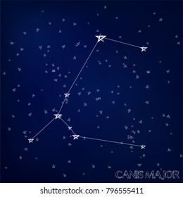 constellation Canis Major in the starry sky