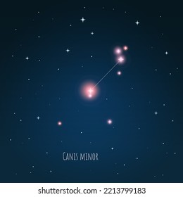 Constellation Canis Minor scheme in starry sky. Open space. Vector illustration Canis Minor constellation through a telescope