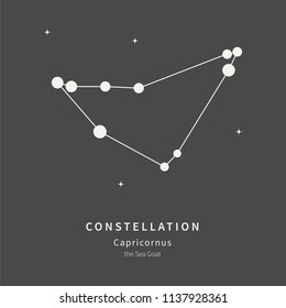 The Constellation Of Capricornus. The Sea Goat - linear icon. Vector illustration of the concept of astronomy
