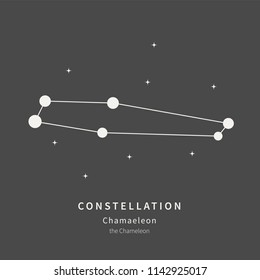 The Constellation Of Chamaeleon. The Chameleon - linear icon. Vector illustration of the concept of astronomy