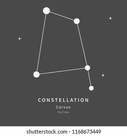 The Constellation Of Corvus. The Crow - linear icon. Vector illustration of the concept of astronomy