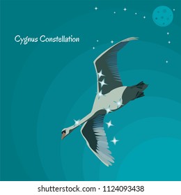 The constellation of cygnus.