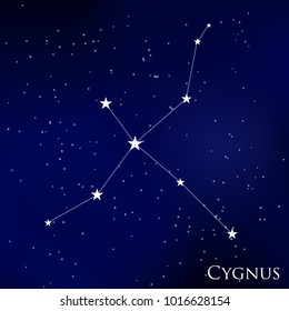 constellation Cygnus in the starry sky