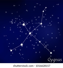 constellation Cygnus in the starry sky