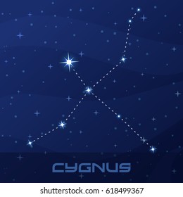 Constellation Cygnus, Swan