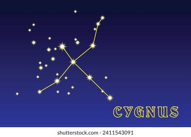 Constellation Cygnus. Constellation Swan. Illustration of the constellation Cygnus. Constellation of the northern hemisphere of the sky