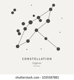 The Constellation Of Cygnus. The Swan - linear icon. Vector illustration of the concept of astronomy.