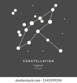 The Constellation Of Cygnus. The Swan - linear icon. Vector illustration of the concept of astronomy.
