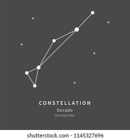 The Constellation Of Dorado. The Dolphinfish - linear icon. Vector illustration of the concept of astronomy