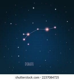 Constellation Dorado scheme in starry sky. Open space. Vector illustration  Dorado, gold fish constellation  through a telescope.