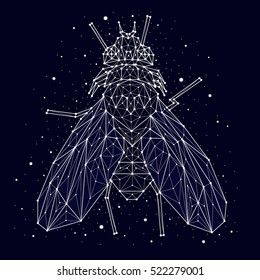 constellation. fly