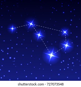 The constellation of the flying fish in the night starry sky. Vector illustration of the concept of astronomy
