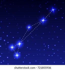 The Constellation Of Gold Fish in the night starry sky. Vector illustration of the concept of astronomy