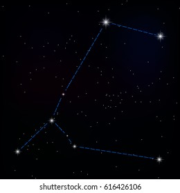 constellation of great dog . vector image of a constellation