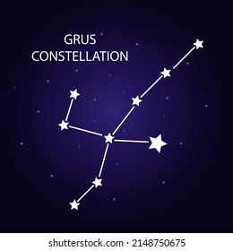 The constellation Grus with bright stars. A constellation on a dark blue background of the cosmic sky. Vector illustration.