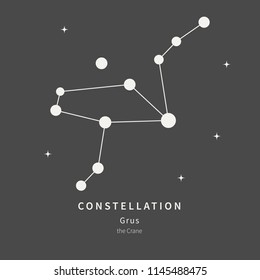The Constellation Of Grus. The Crane bird - linear icon. Vector illustration of the concept of astronomy