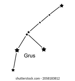 Constellation Grus on white background, vector illustration