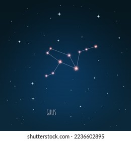 Constellation Grus scheme in starry sky. Open space. Vector illustration Grus constellation through a telescope.