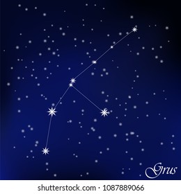 constellation Grus in the starry sky