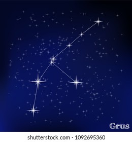 constellation Grus in the starry sky