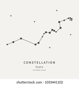 The Constellation Of Hydra. The Water Snake - linear icon. Vector illustration of the concept of astronomy