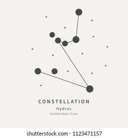 The Constellation Of Hydrus. The Male Water Snake - linear icon. Vector illustration of the concept of astronomy