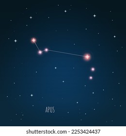 Constellation Lacerta en cielo estrellado. Espacio abierto. Ilustración vectorial, constelación a través de un telescopio