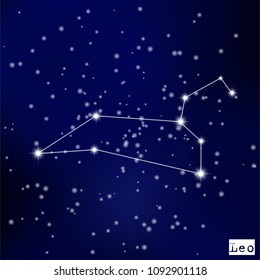 constellation Leo in the starry sky