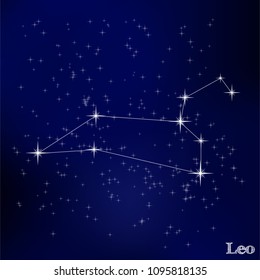 constellation Leo in the starry sky