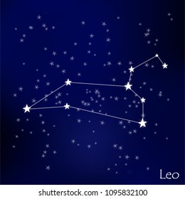 constellation Leo in the starry sky