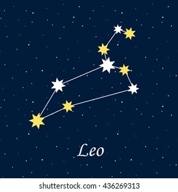 constellation Leo zodiac horoscope astrology stars night illustration vector.