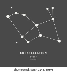 The Constellation Of Lepus. The Hare - linear icon. Vector illustration of the concept of astronomy