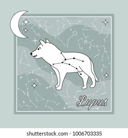 The constellation "Lupus" star in the night sky with the wolf silhouette. Vector illustration